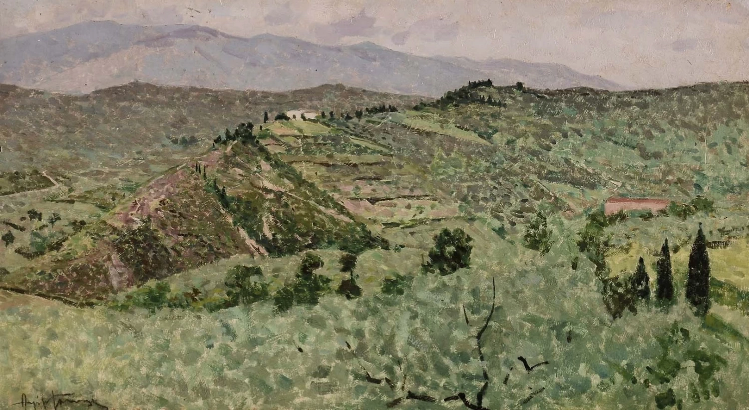 Angiolo - Paesaggio campestre